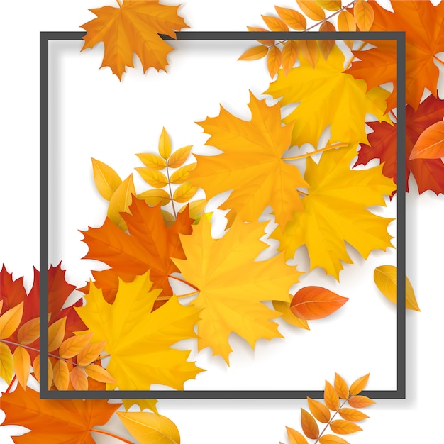 Frame autumn fallen leaves