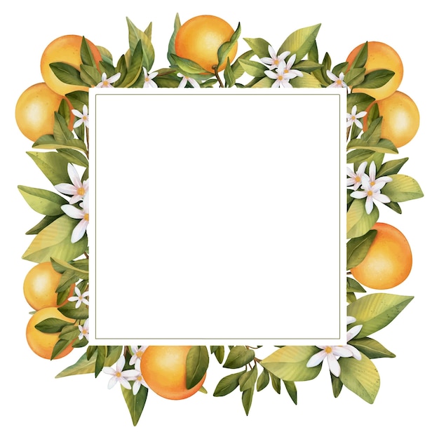 Frame of hand drawn watercolor blooming orange tree branches flowers and orange