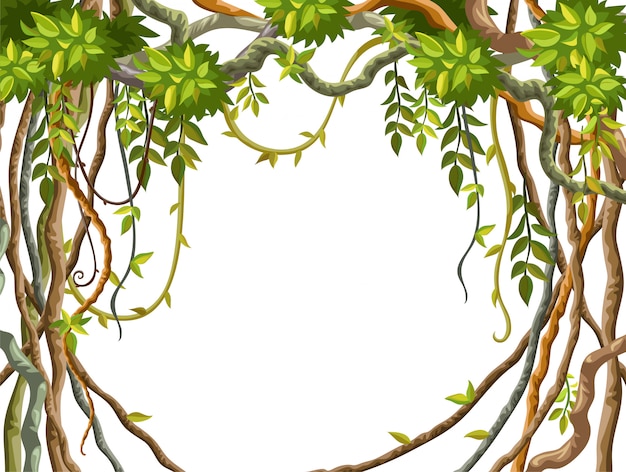 Frame liana branches and tropical leaves background.