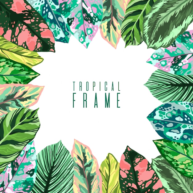 Frame Tropical summer leaves diffenbachia collection. 