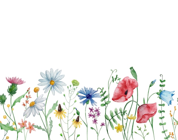 Frame of watercolor wildflowers