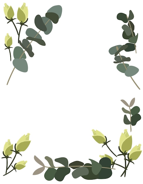 A frame of white rose buds with green eucalyptus twigs on a white background Delicate background