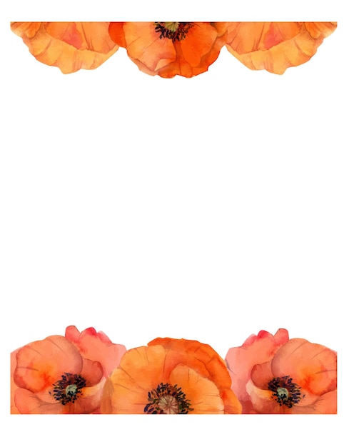 Frame with hand drawn watercolor poppy flowers