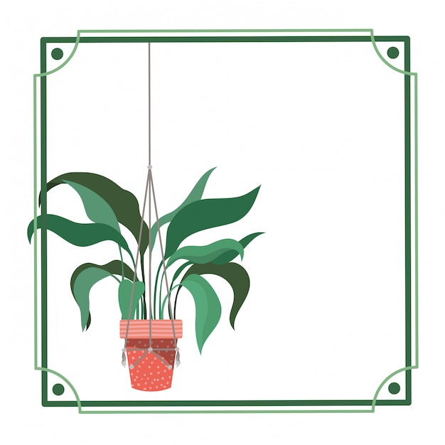 Frame with houseplant on macrame hangers