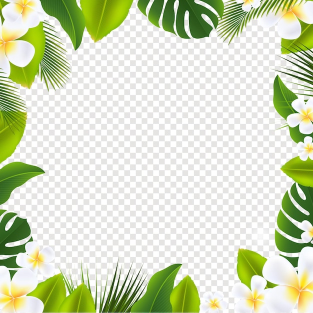 Frame Witj Green Tropical Leaves With Transparent Background