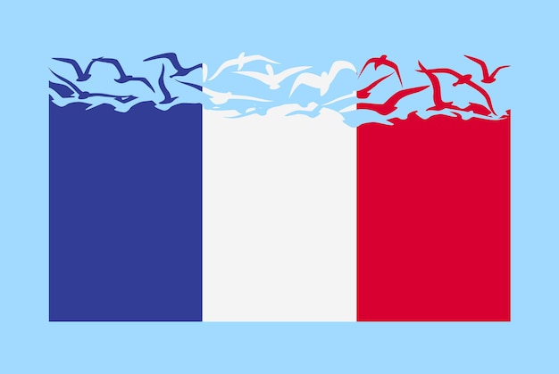 France flag with freedom concept France flag transforming into flying birds vector