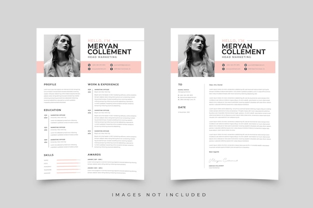 Free clean resume template