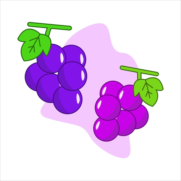 Free fresh purple grapes fruit vecor illustration