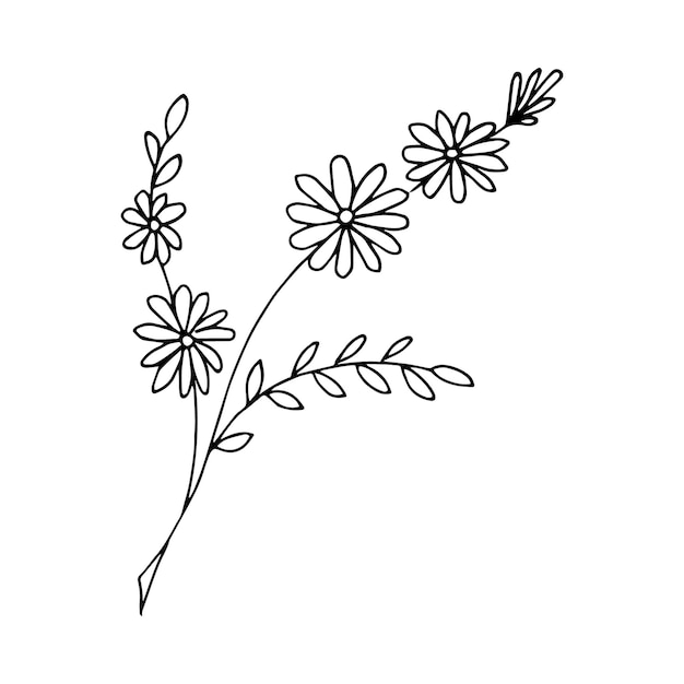 Free hand drawn floral arrangement element in doodle or sketch style