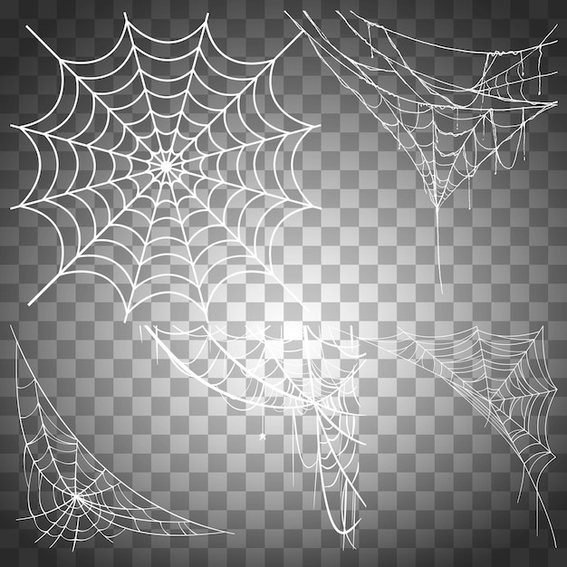 Vector free vector illustration of spider web of various shapes