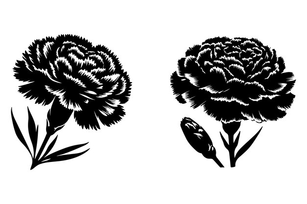 Vector free vector line art of a carnation flowers set silhouette pattern