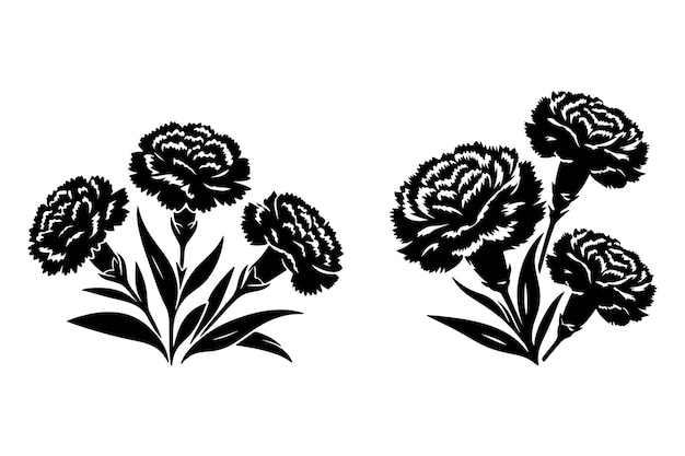 Vector free vector line art of a carnation flowers set silhouette pattern