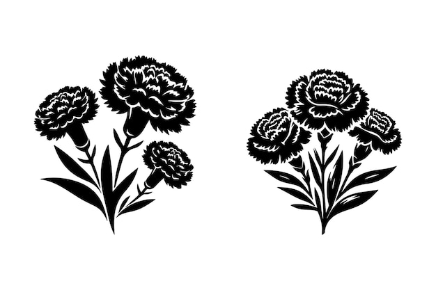 Vector free vector line art of a carnation flowers set silhouette pattern