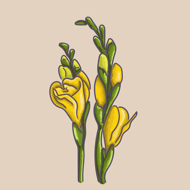 Vector freesia flower. made in vector graphics.