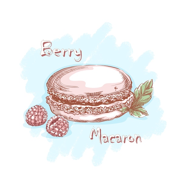 French macaron in pink merengue with raspberries and mint leaves. Sweets and desserts. Hand sketching