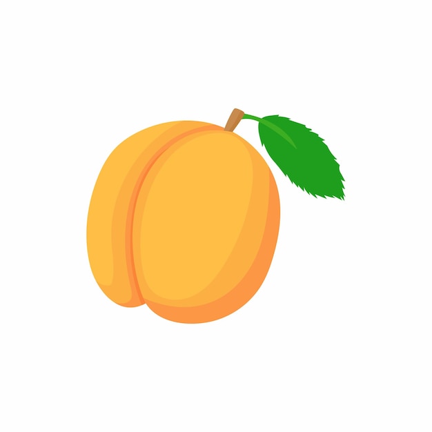 Fresh apricot icon in cartoon style on a white background