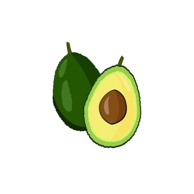 Fresh avocado illustration isolated on white background