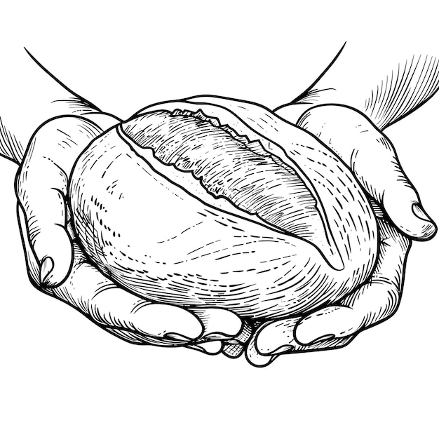 Fresh Baked Bread In The Hands Of A Baker Coloring Pages Vector