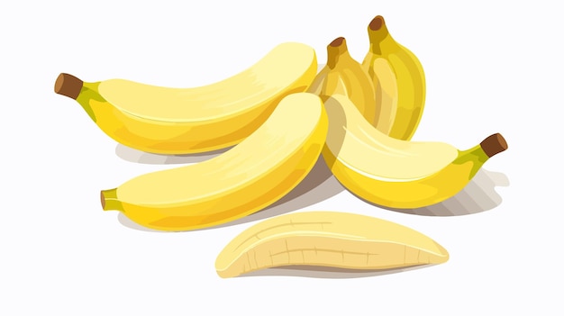 Fresh Banana Slices Isolated on White Background with Vector Illustration