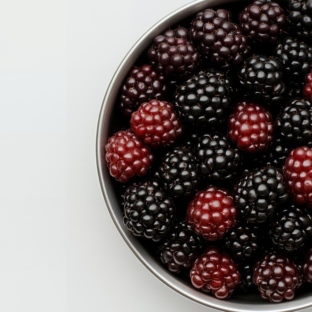 Vector fresh blackberries in a bowl