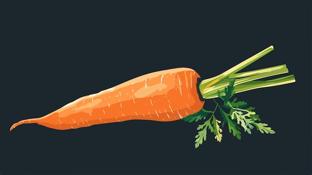 Fresh Carrot Isolated on Dark Background Vector Illustration