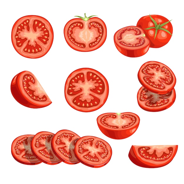 Fresh cartoon tomatoes. Red vegetables in  . Cut an sliced, single and group farm fresh tomatoes.  illustrations  on white background.