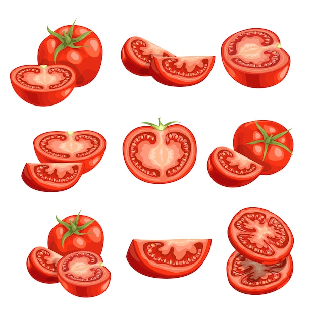 Fresh cartoon tomatoes. Red vegetables in  . Cut an sliced, single and group farm fresh tomatoes.  illustrations  on white background.