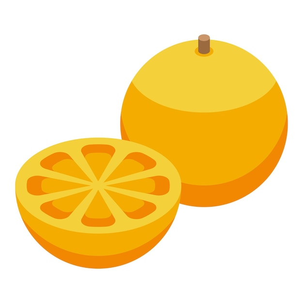 Fresh citrus illustration whole and sliced orange