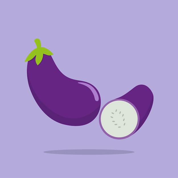 fresh eggplant vector