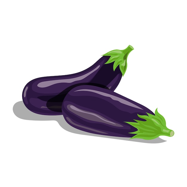 Fresh eggplants group in cartoon style. Fresh violet whole vegetables. Farm fresh.  illustration  on white background.