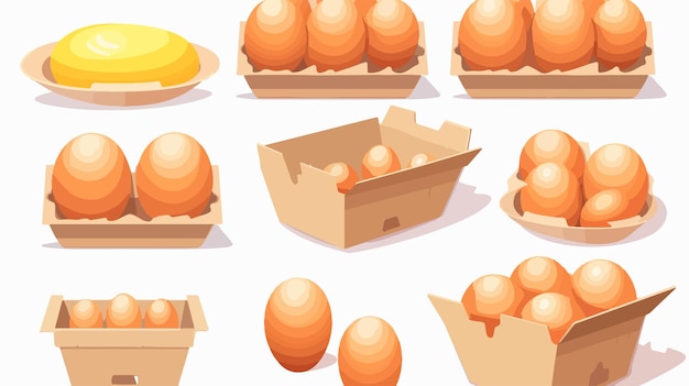 Fresh Eggs in Cardboard Packages on Store Shelf