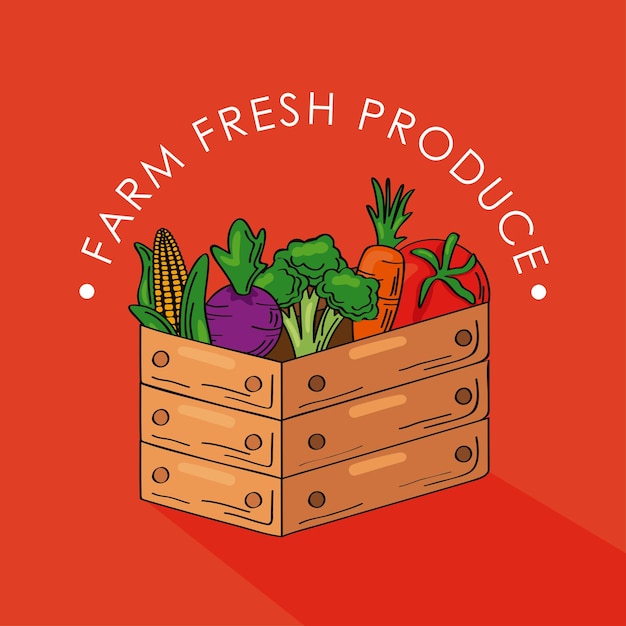 Fresh farm products in basket