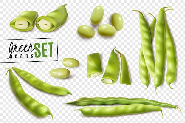 Fresh farmer market organic green beans realistic set with whole and cut pods on transparent