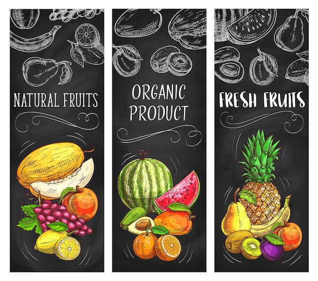 Fresh fruits sketch banners, natural pineapple, lemon, apricot or grapes with melon.