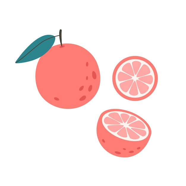 Fresh grapefruit with slices. Citrus fruit. Healthy food.