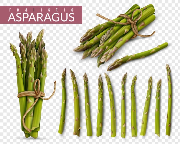 Fresh green asparagus spears