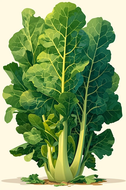 Fresh Green Chard with Bright Yellow Stems