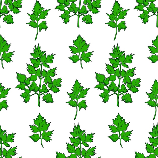 Fresh green parsley leaves on white background. Parsley vector seamless pattern.