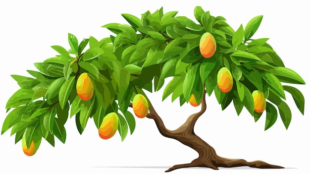 Vector fresh green thai mango hanging on tree for stock photos