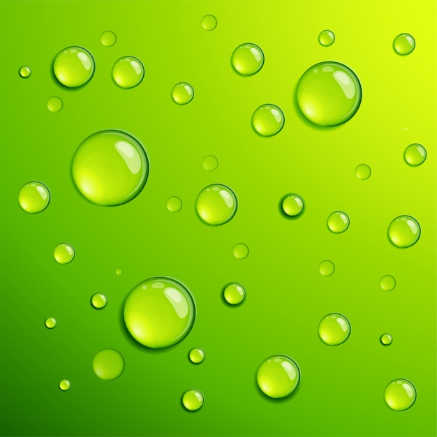 Fresh green transparent clear water dew dros  background template