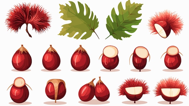 Fresh Horse Chestnut Fruits and Leaves with Chestnuts in a Creative Composition