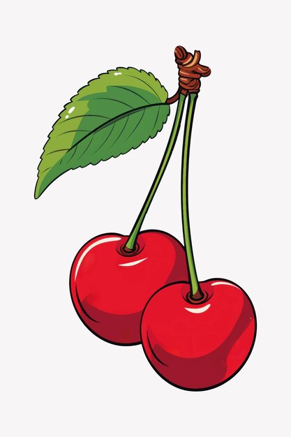 Vector fresh juicy cherries illustration