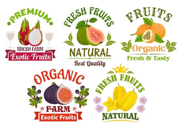 Fresh juicy natural organic fruits icons set