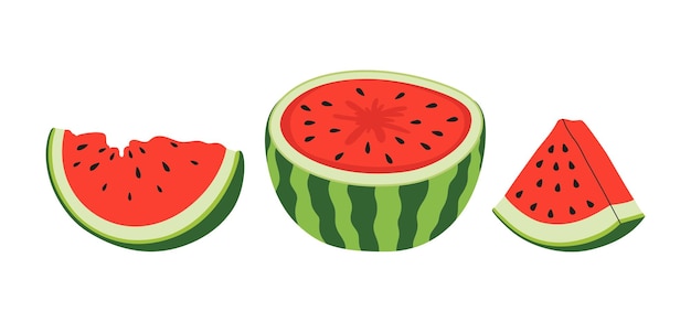 Fresh and juicy whole watermelons and slices Fruit summer Illustration for recipe cookbook