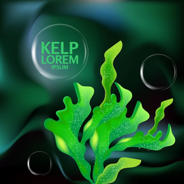 fresh Kelp seaweed salad sea food vector Illustration