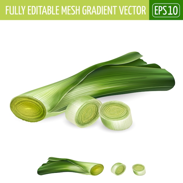 Fresh leek - green vegetables and healthy food design. Realistic illustration.