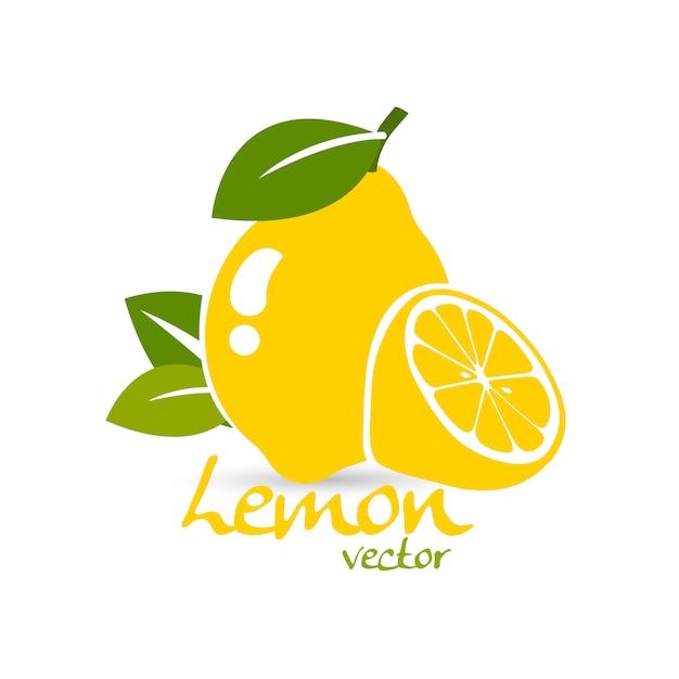 Fresh lemon fruit illustration