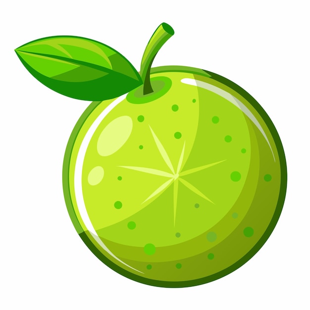 Fresh Lime Fruit Vector Vibrant and Juicy Design for Citrus Culinary