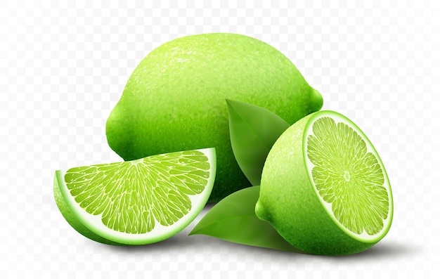 Fresh lime set with various view of whole lime fruit halves and slices isolated on transparent background Realistic 3d vector illustration