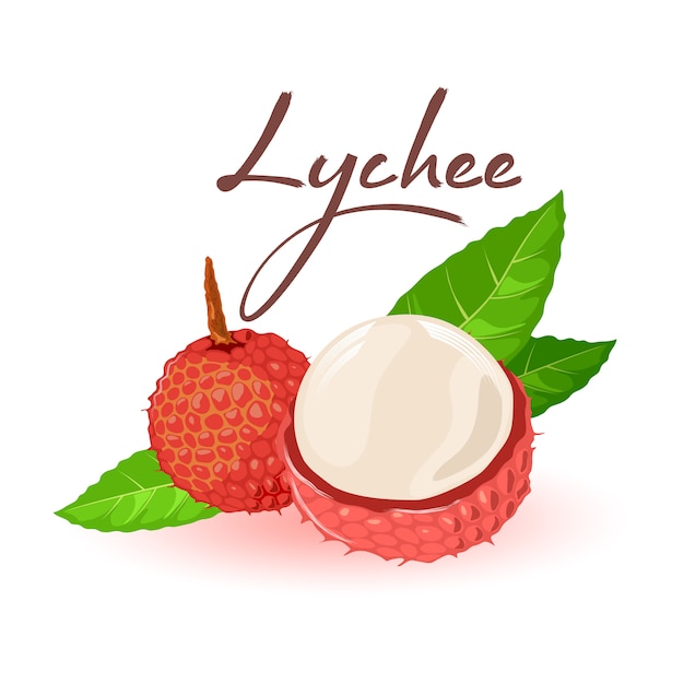 Fresh lychee or litchi chinensis with leaves.